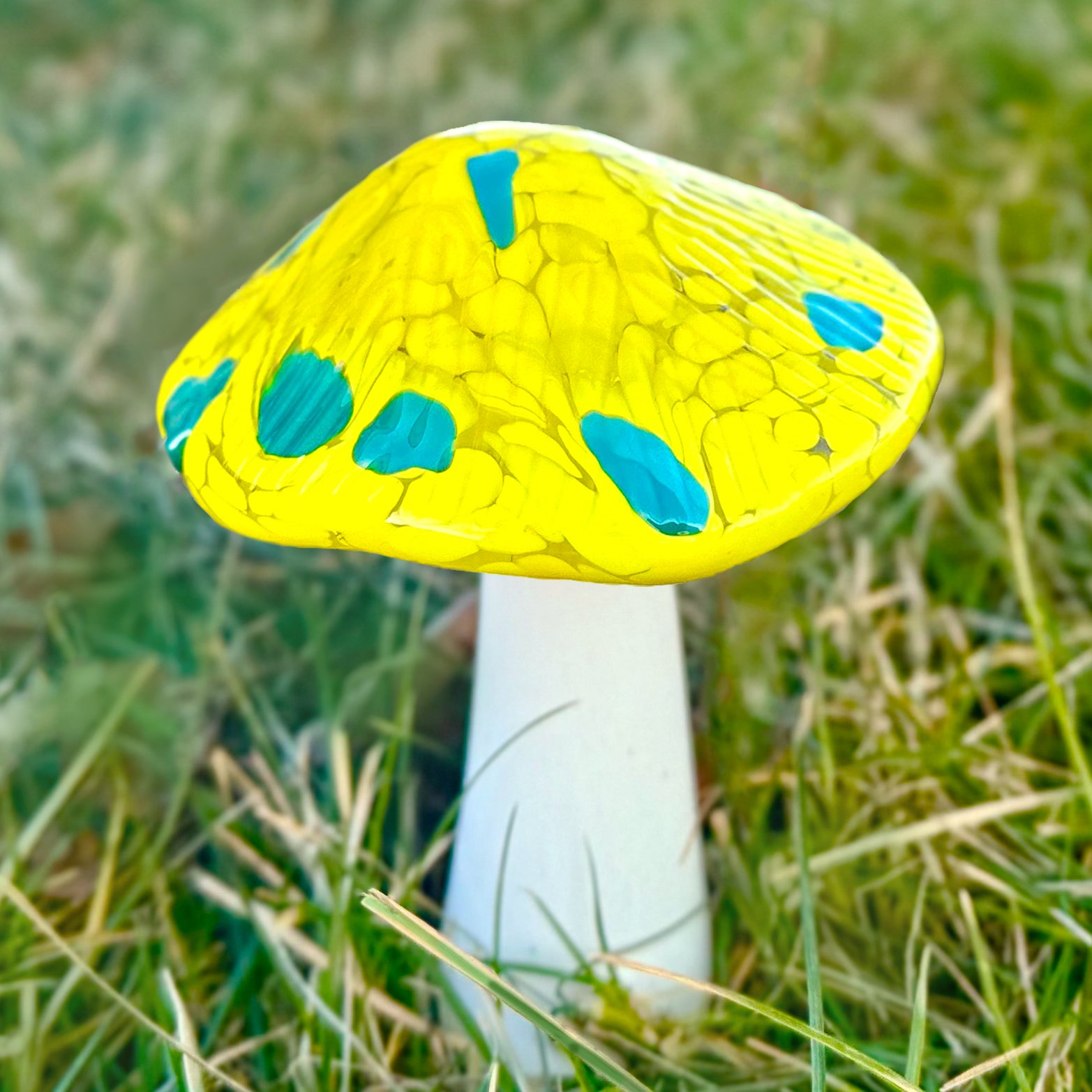 mushroom workshop 2.jpg