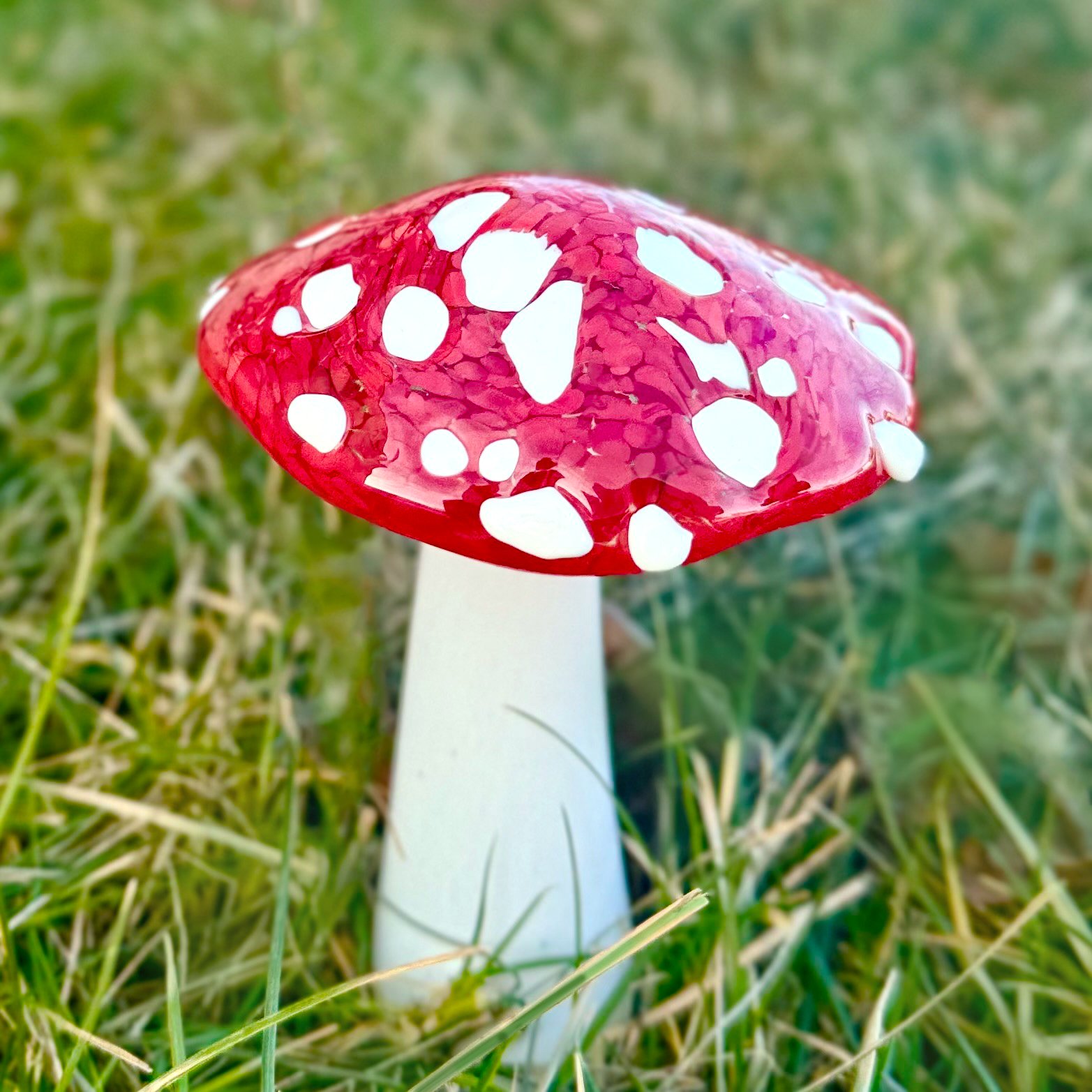 mushroom workshop 1.jpg