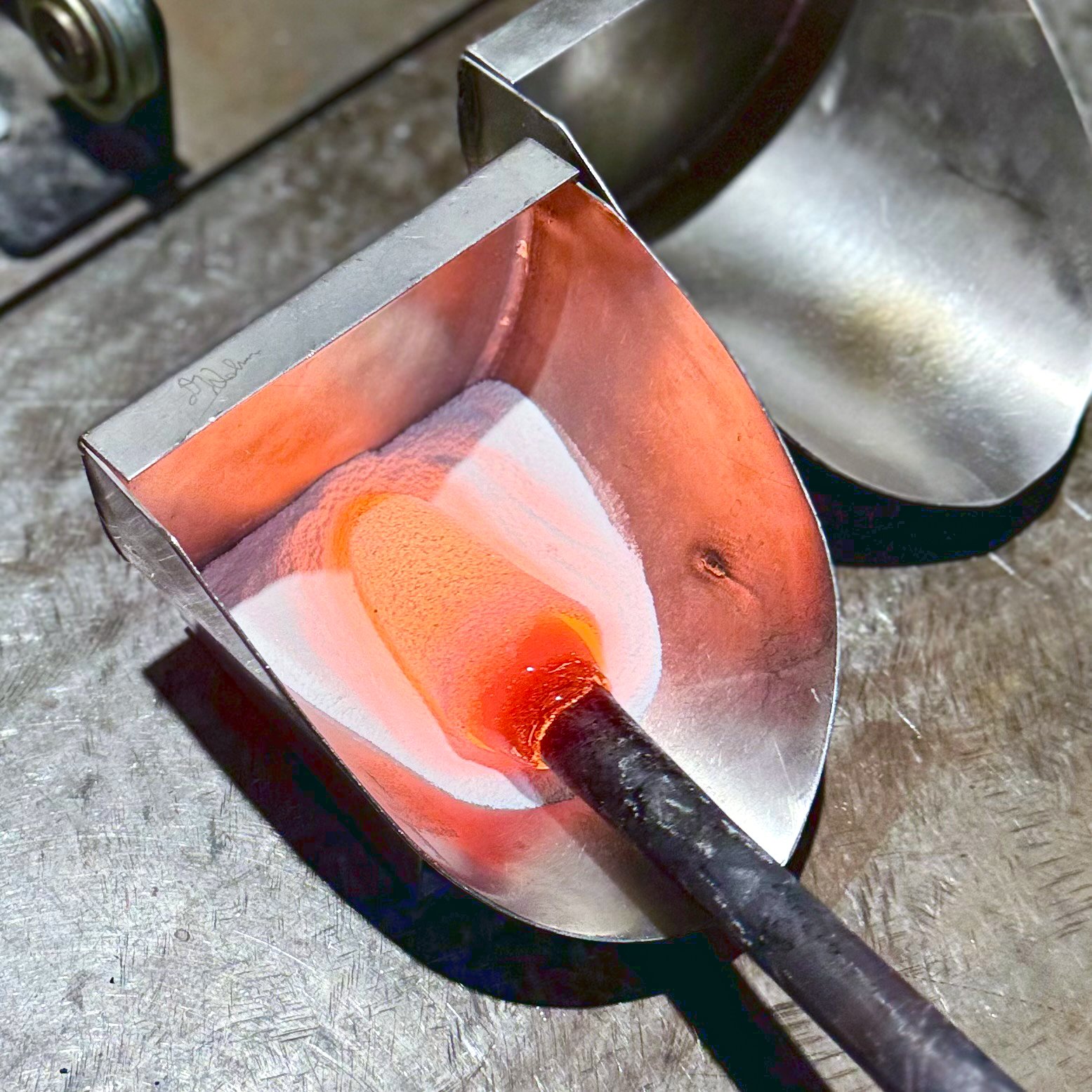jelly fish workshop 8.jpg