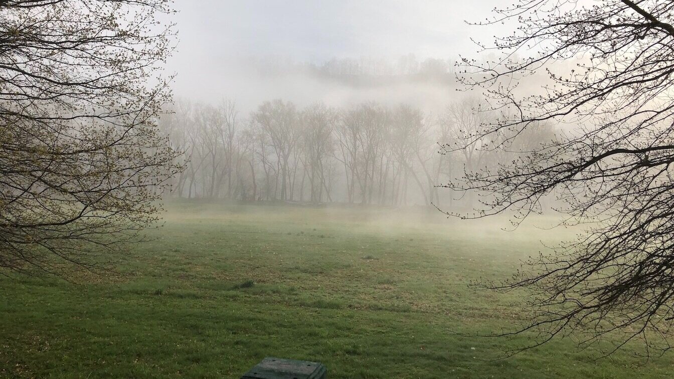 Deck+in+spring+with+mist+500+KB.jpg
