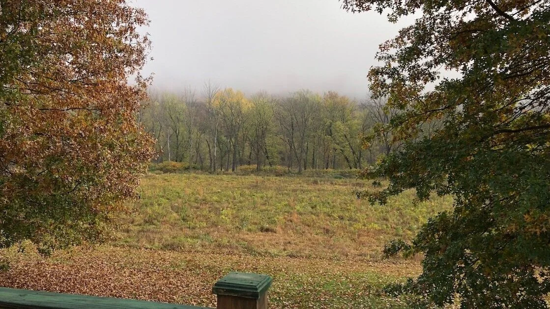 Deck+in+fall+500+KB.jpg