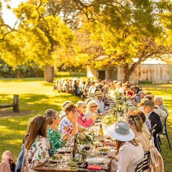 A picturesque outdoor dining scene with a long table beautifully set under the shade of golden trees. Guests enjoy a festive gathering in a rustic countryside setting, with sunlight streaming through the leaves and creating a warm, inviting atmosphere.