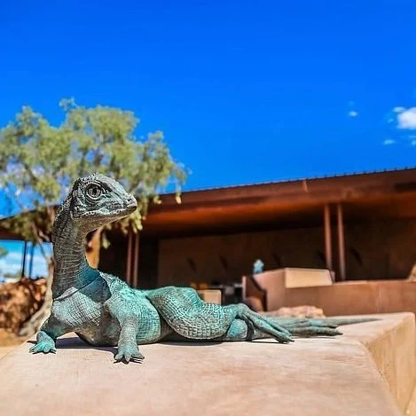 A lizard lay on a rock with Australian Age of Dinosour building on the background