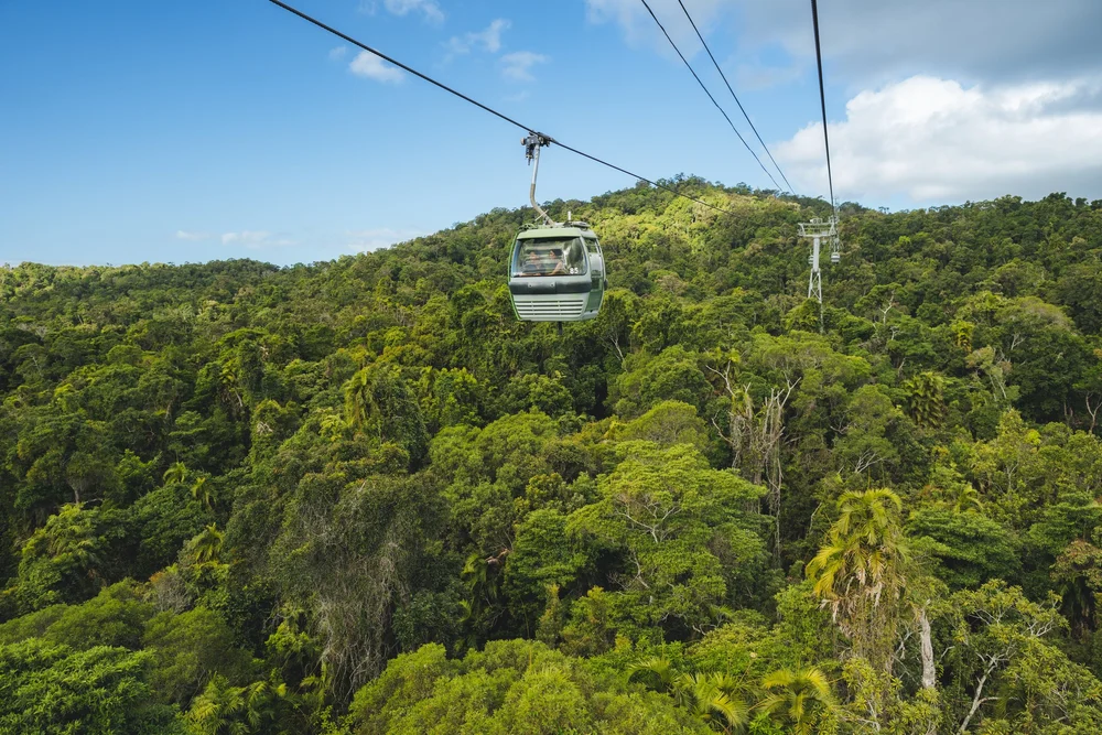 Skyrail Rainforest Cableway Audio Guides and Accessibility Information — Vacayit