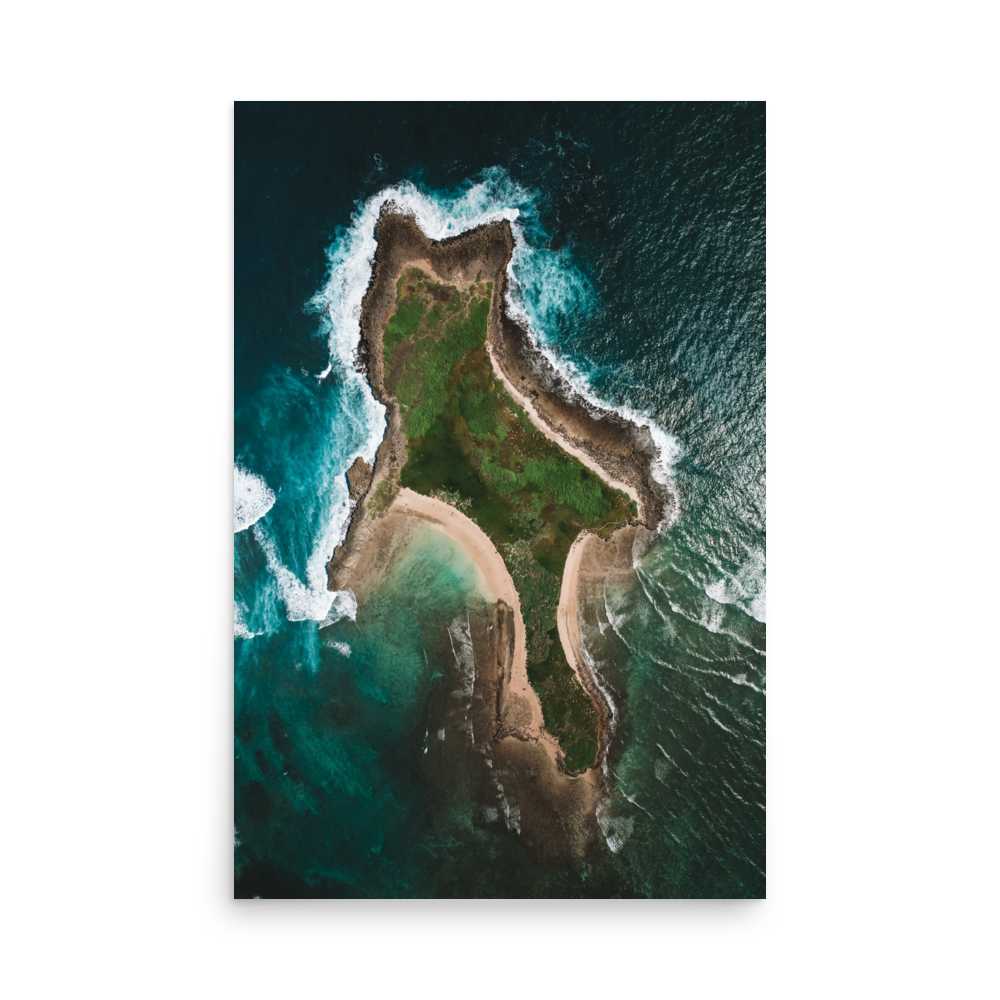 enhanced-matte-paper-poster-(in)-24x36-front-67fb801f0b68f.png