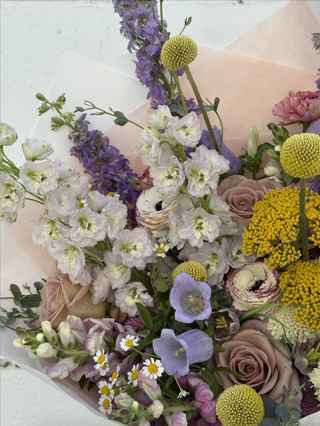 signature palate no. 2 : love you to the moon (and back) // mother's day pre-order