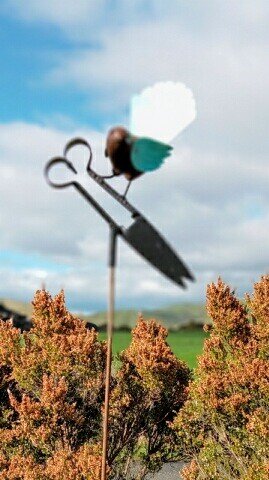 Fantail on Shears