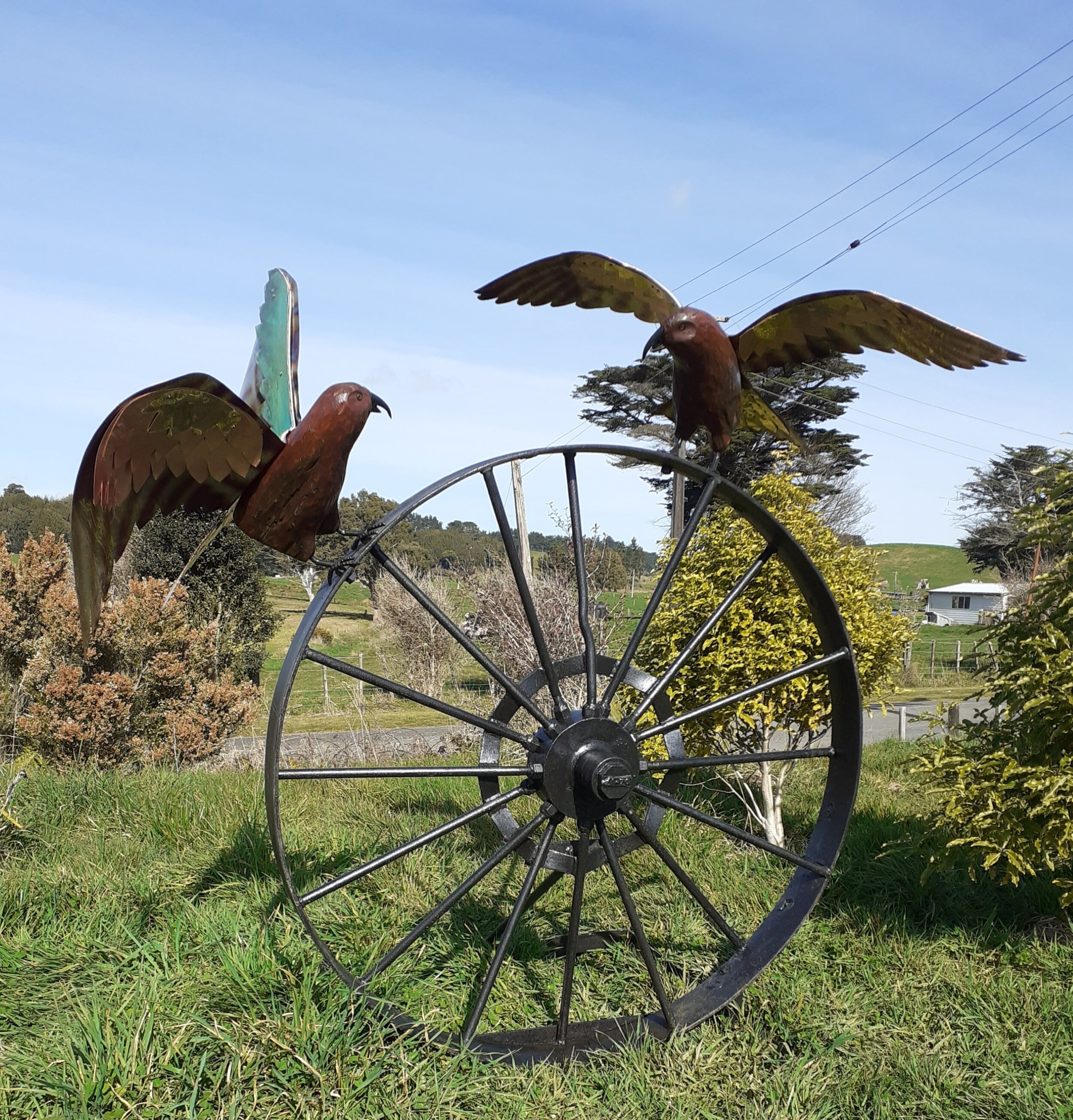 Kea Pair on a Wheel