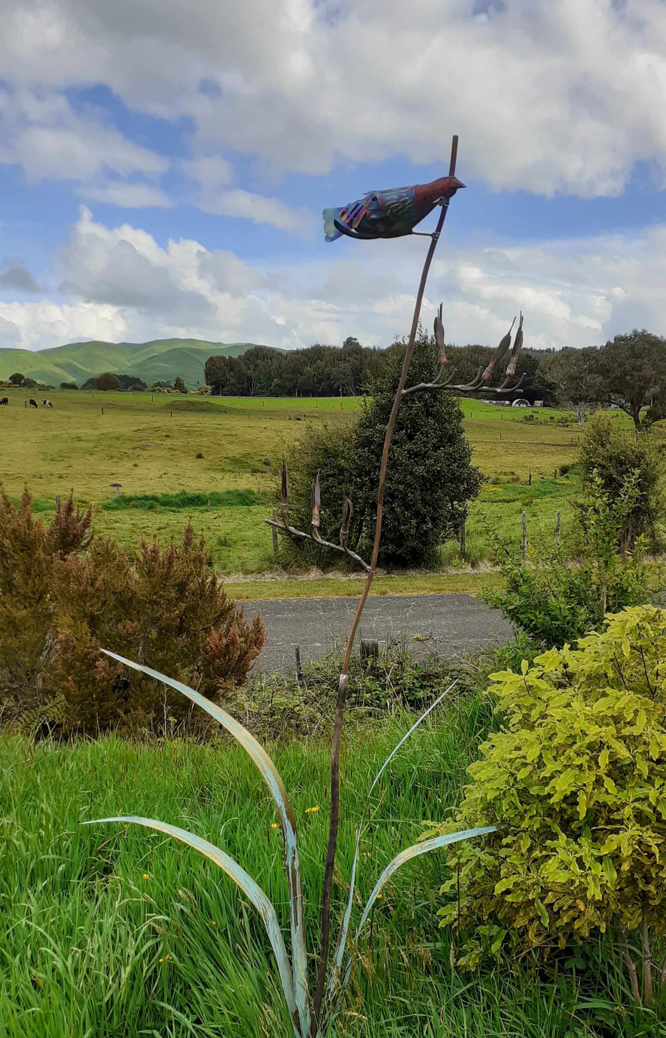 Flax Tui