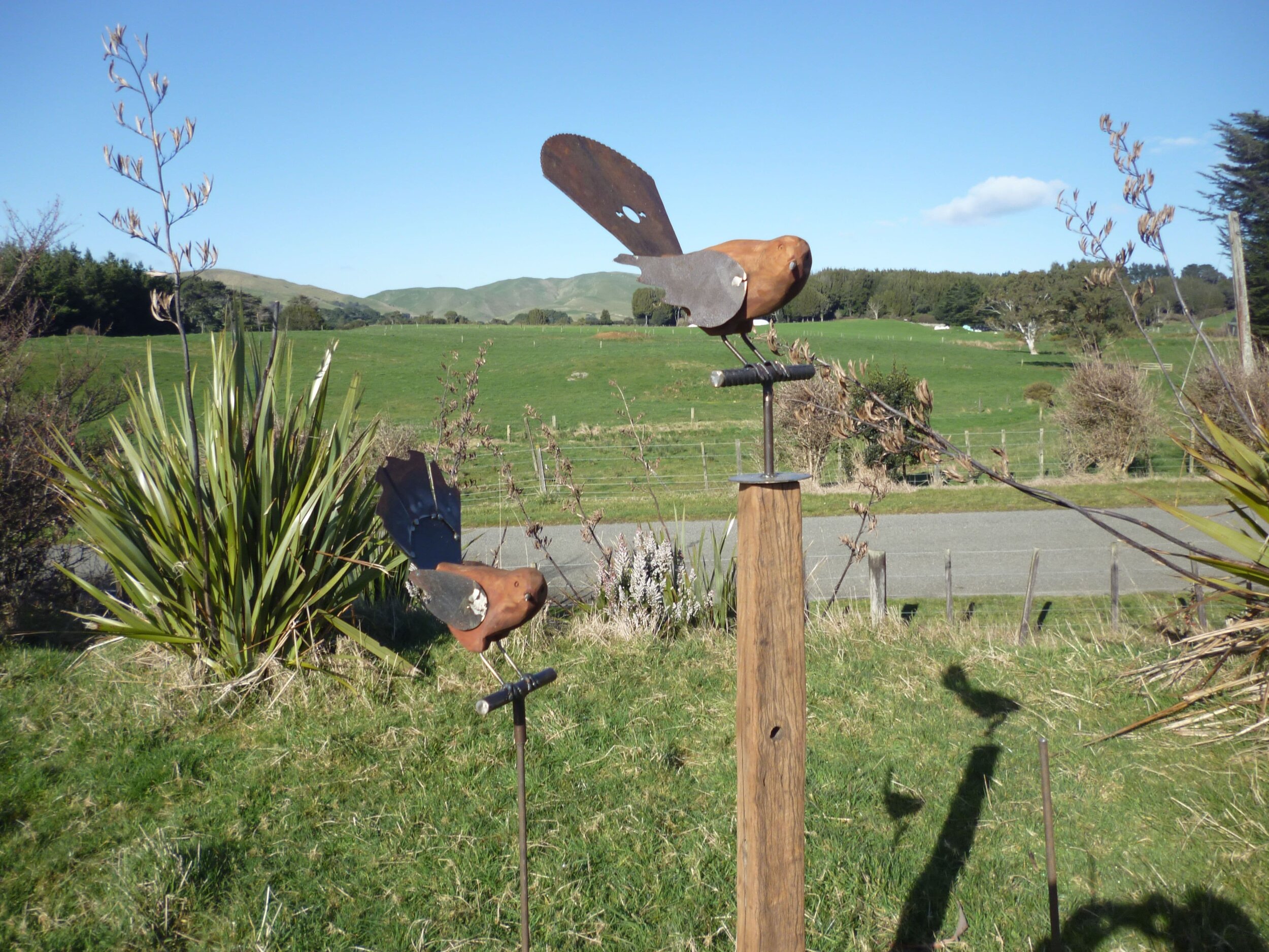 Fantails
