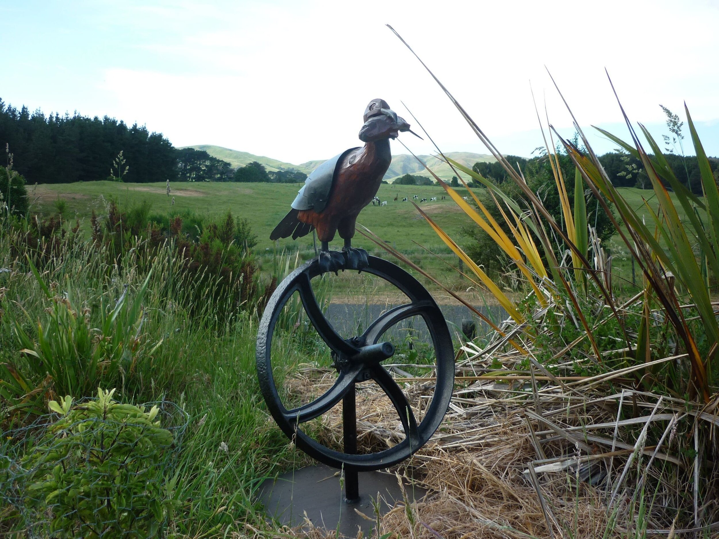 Shag with Fish on a Wheel