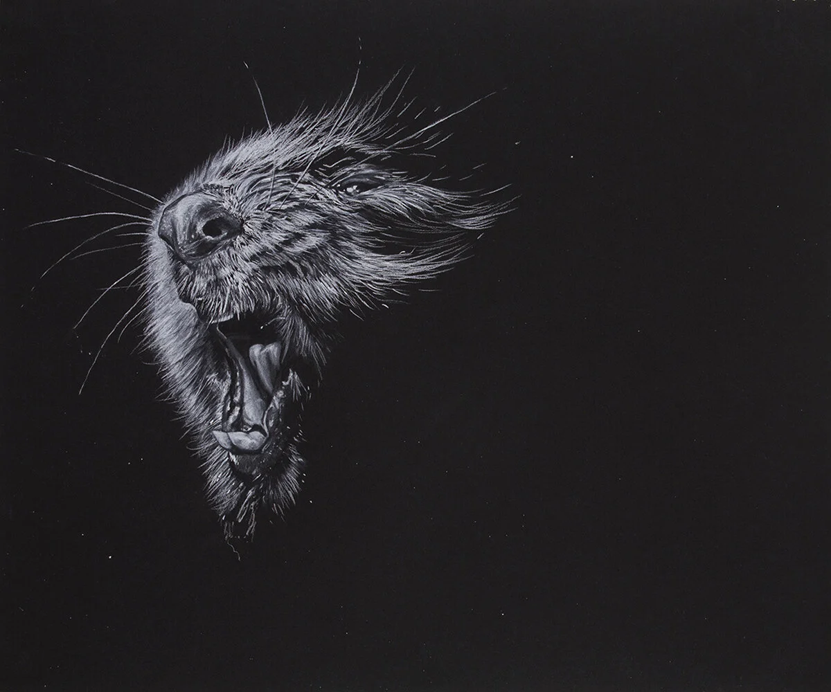01_no_surprise-beaver.jpg