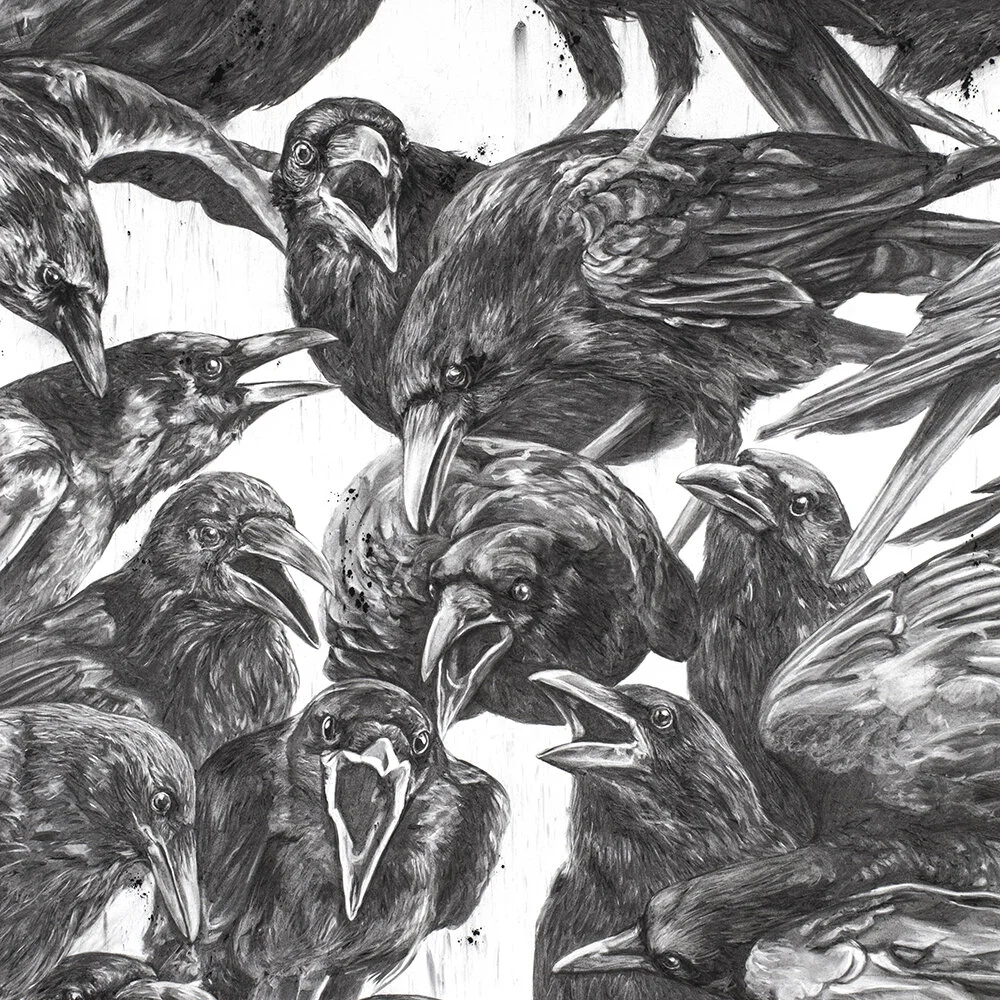 Detail_Full Circle Unrest_2015_WEB.jpg