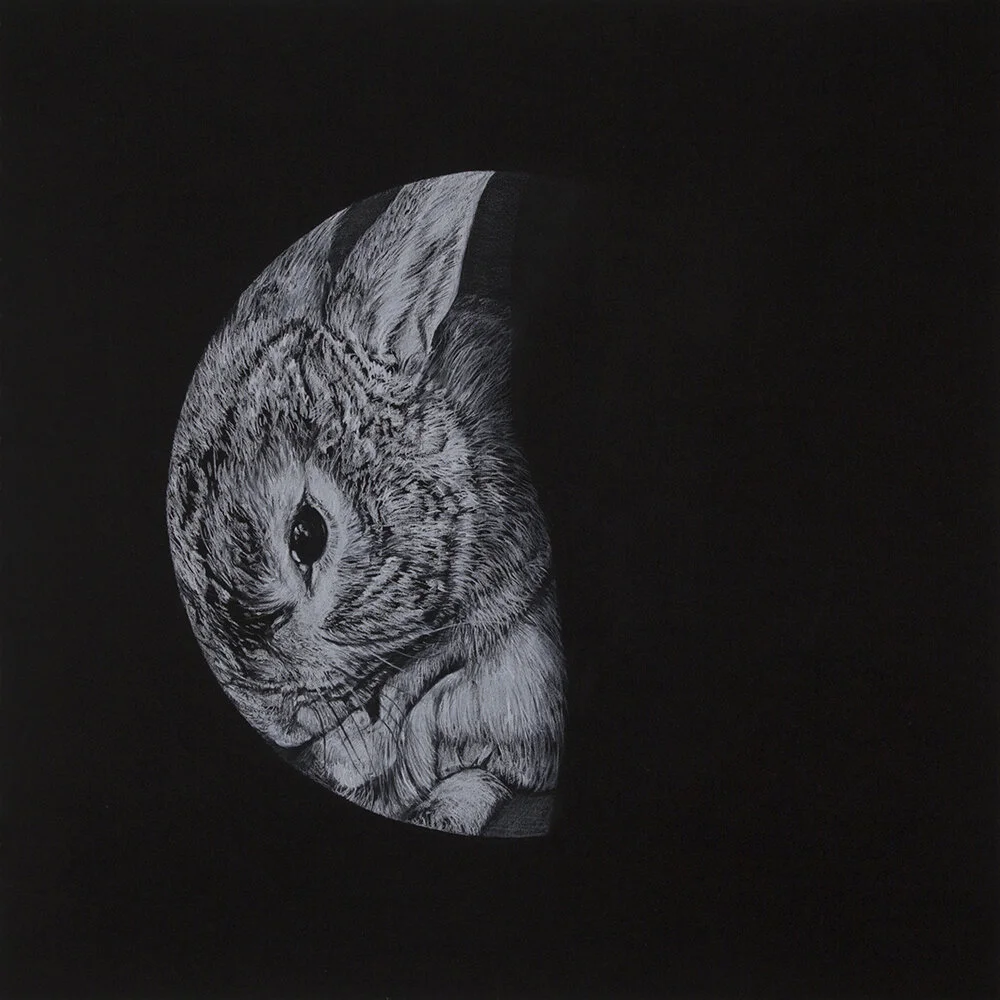 06_Things coming into being_rabbit_WEB.jpg