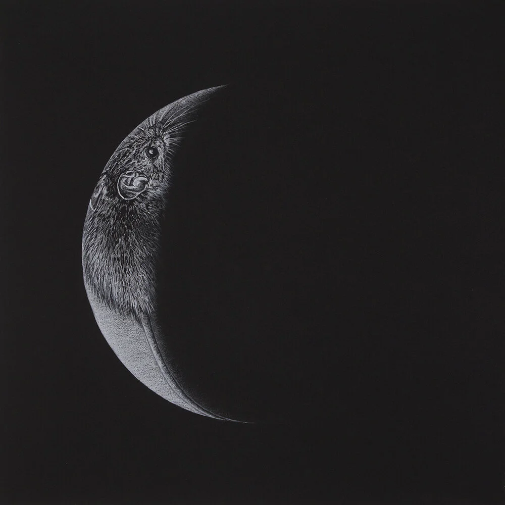 07_Things coming into being_mouse_WEB.jpg