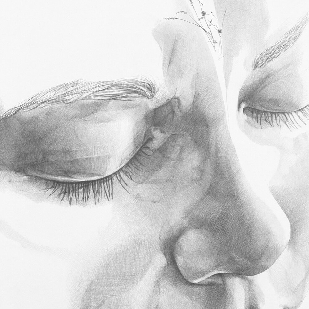 01_Detail_Quiescence.jpg