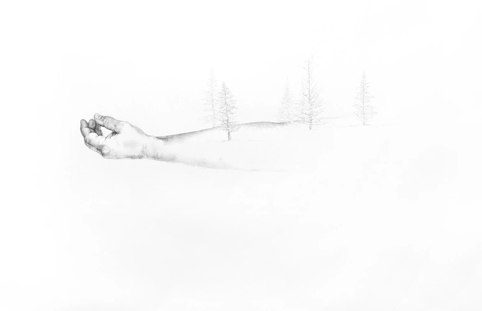 04_Stillness.jpg