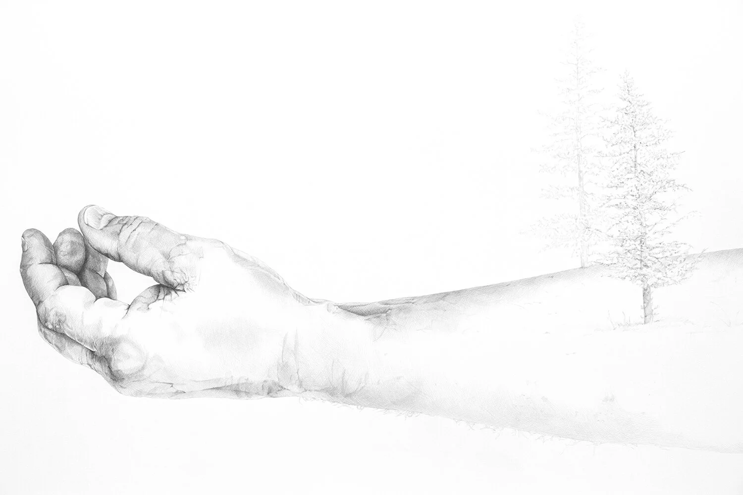 04_Stillness_detail.jpg