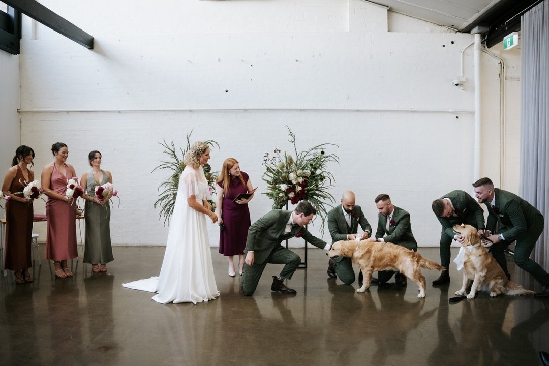 THIS is the Monday morning inspo that we all need. Wally and George honouring us at bearmoffitt &amp; kylep23​​​​​​​​
​​​​​​​​
📸 by @artofgracestudios​​​​​​​​
​​​​​​​​
#melbournewedding #weddinginspo #celebrant #melbournecelebrant #weddingcelebrant 