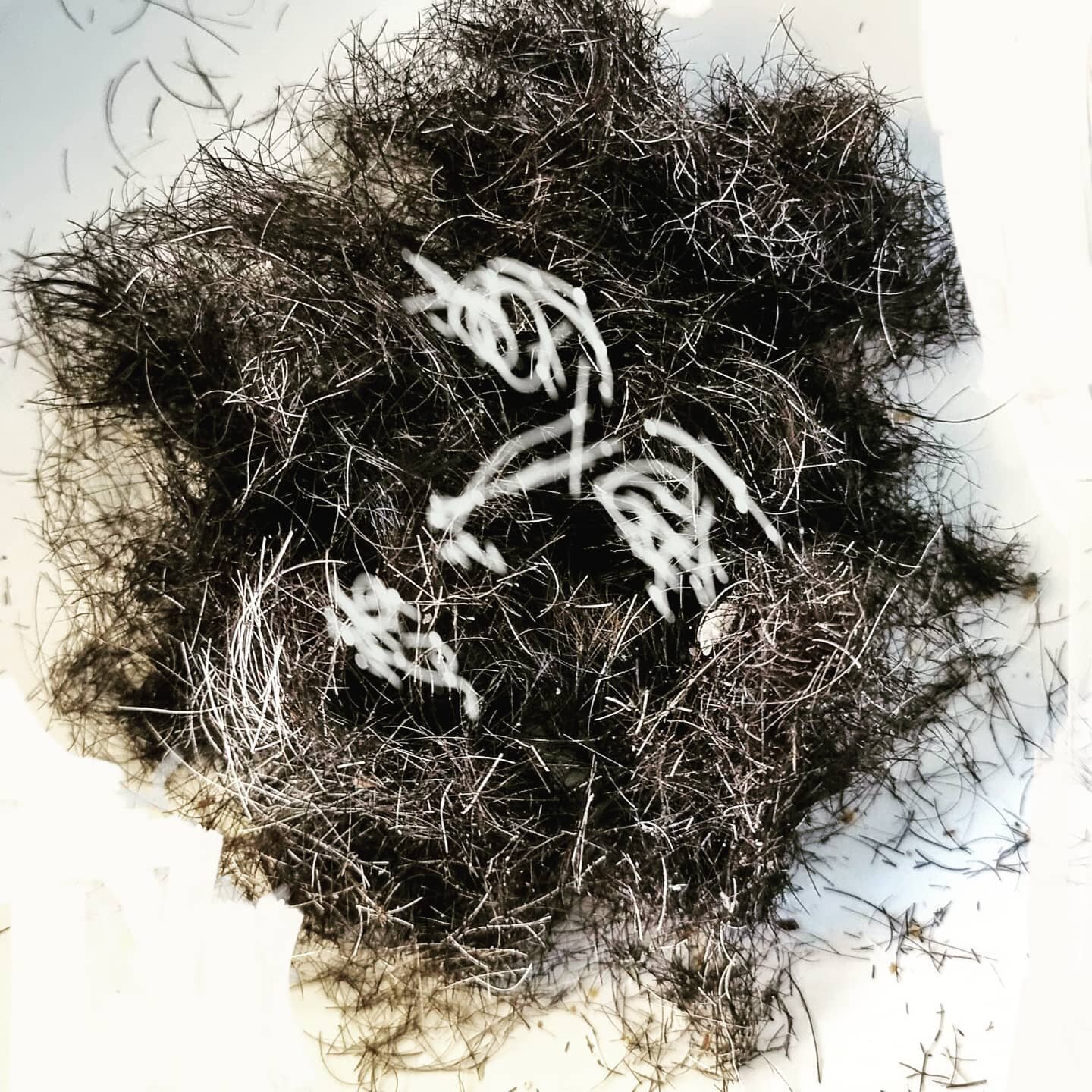 Cuting my hair #lockdownstyle 
#melbourne #cuthair #lockdowncreative #photography #wellbeing #timetoplay #flowing