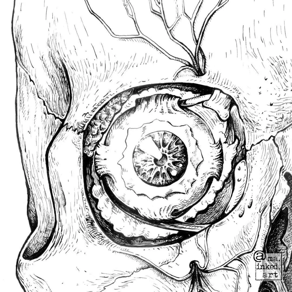 I missed Valentine's day, but it's still February and it's never too late to say 👁️🖤U right? This is the &quot;👁️&quot; in my three-part Valentine's series. Visit my profile to see the full series 😘

This illustration was completed as part of my 