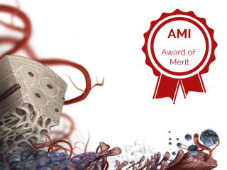 Fibrodysplasia Ossificans Progressiva