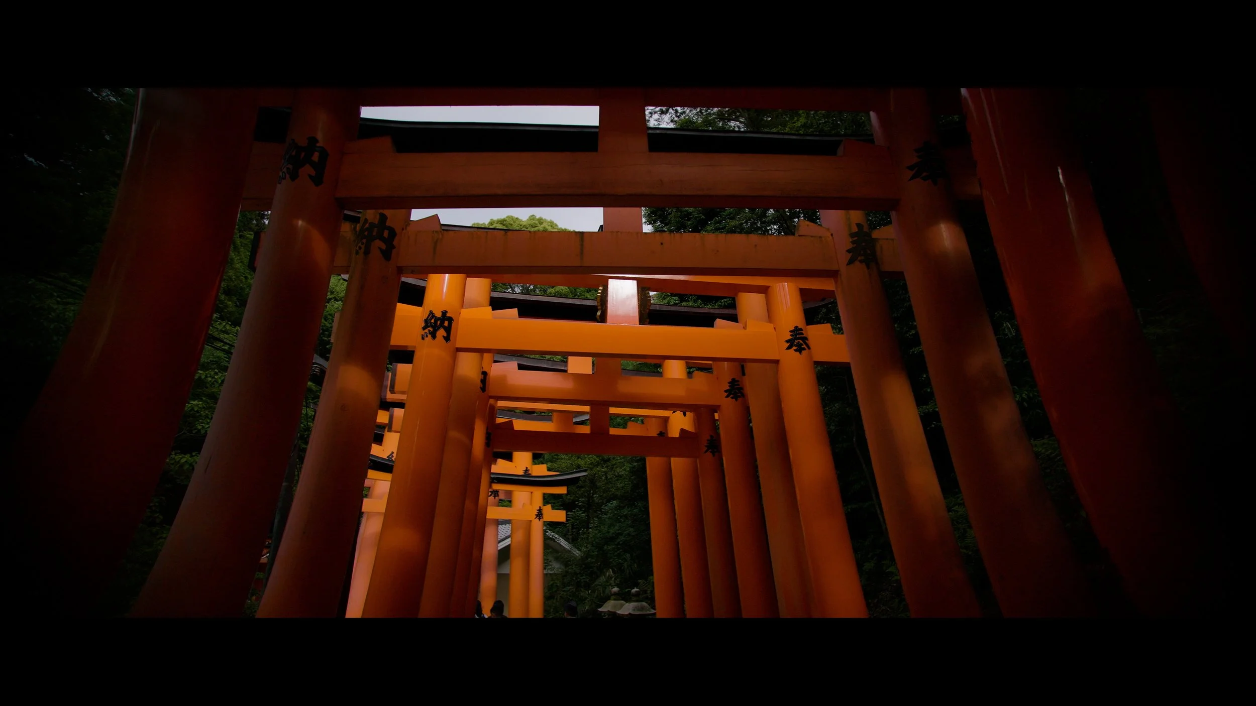 KYOTO 25fps .00_49_05_10.Still006.jpeg