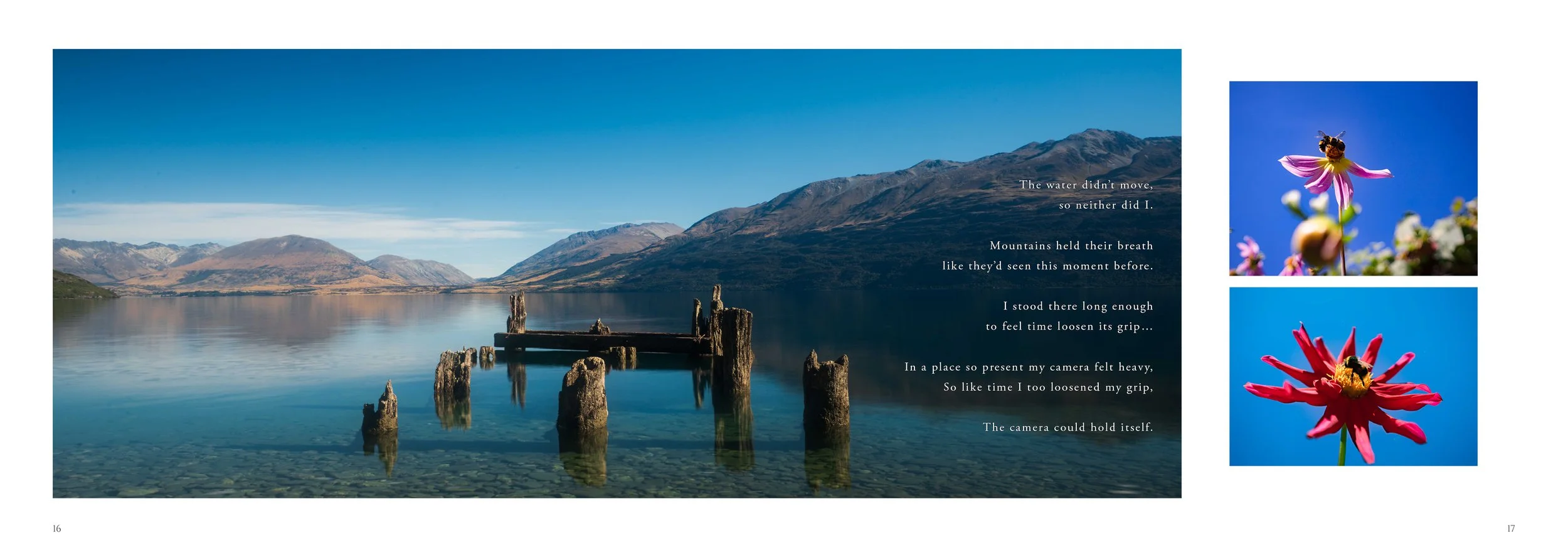NZB (Online Spread)9.jpg