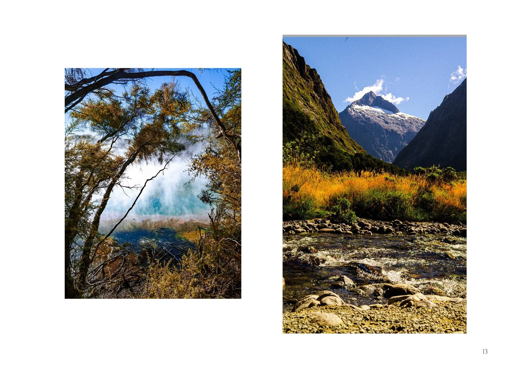 NZB (Online Pages)13.jpg