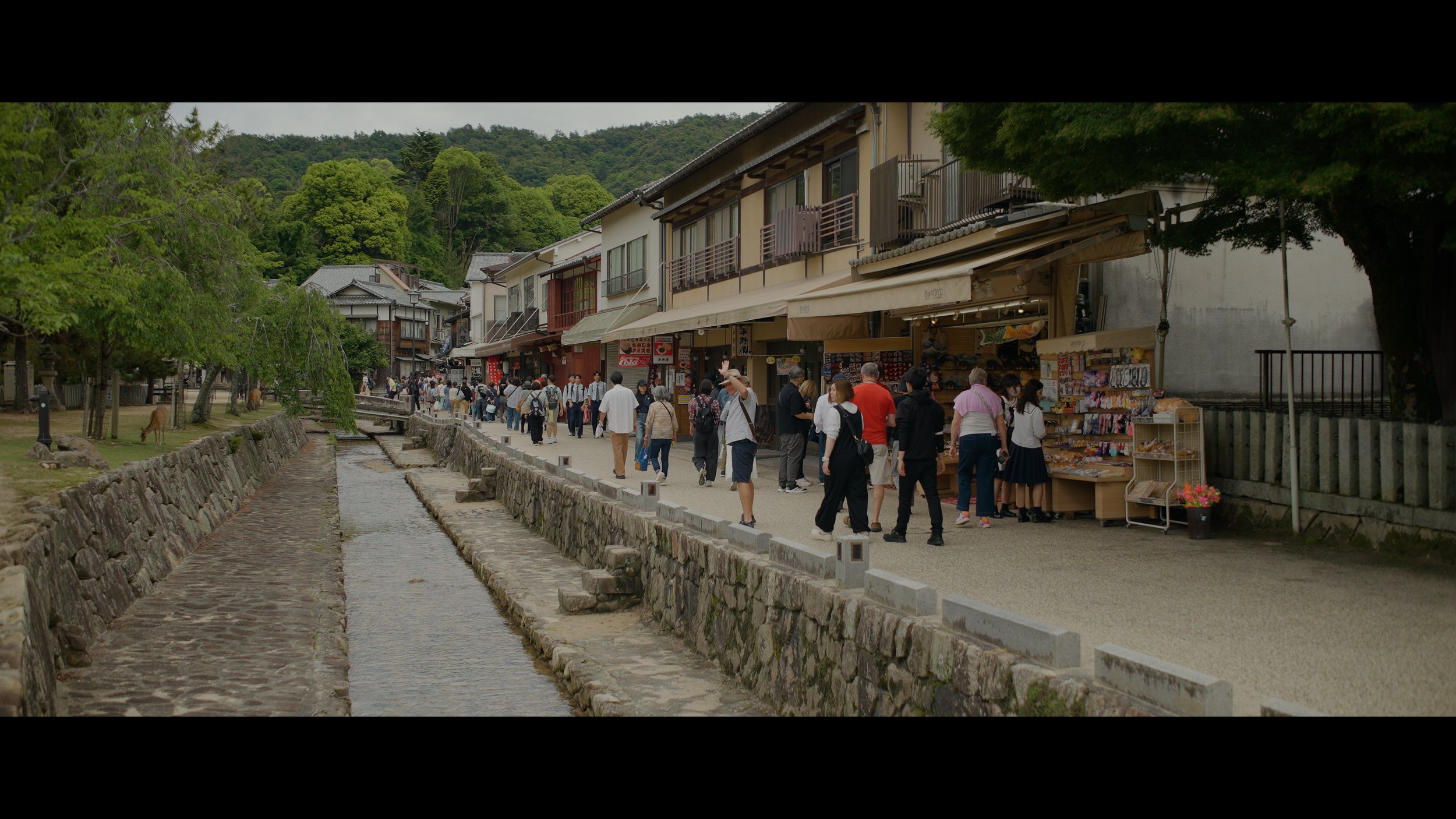 KYOTO 25fps .02_21_53_22.Still024.jpeg