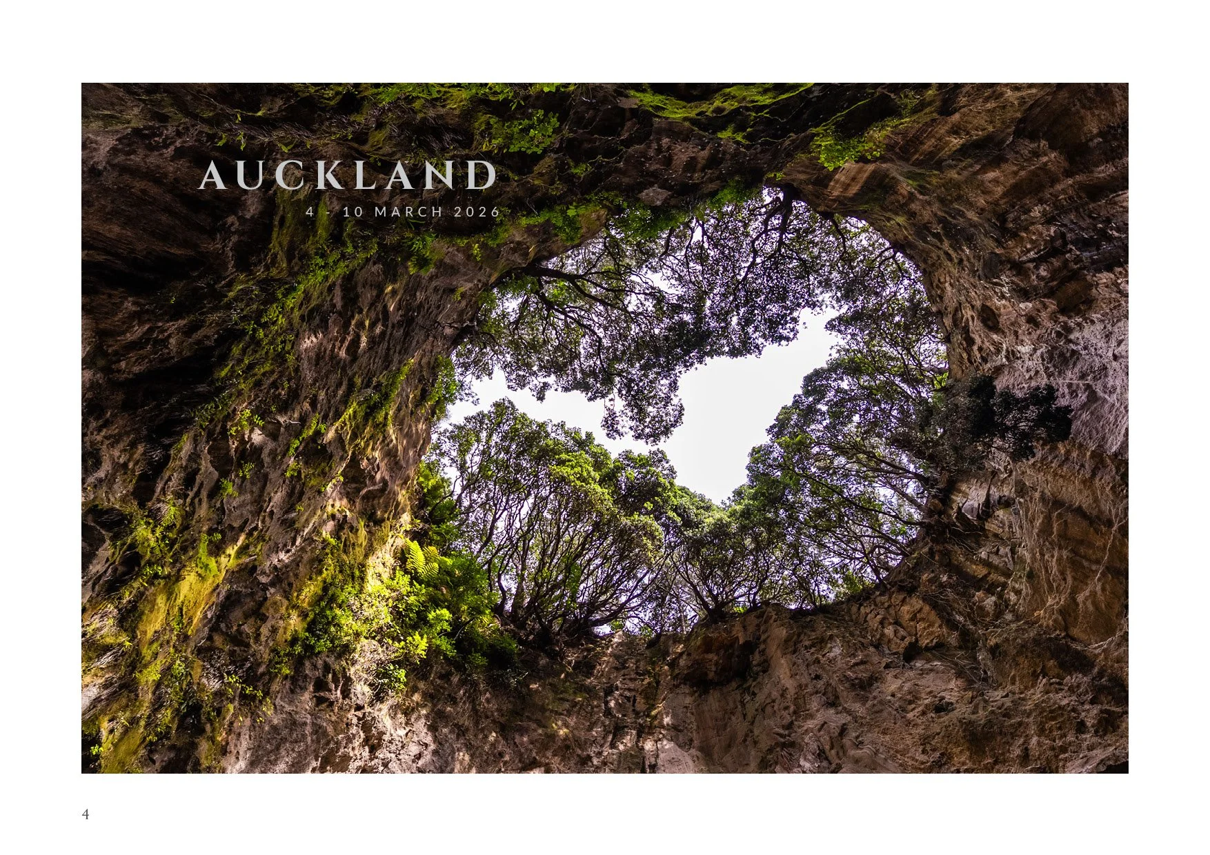 NZB (Online Pages)4.jpg
