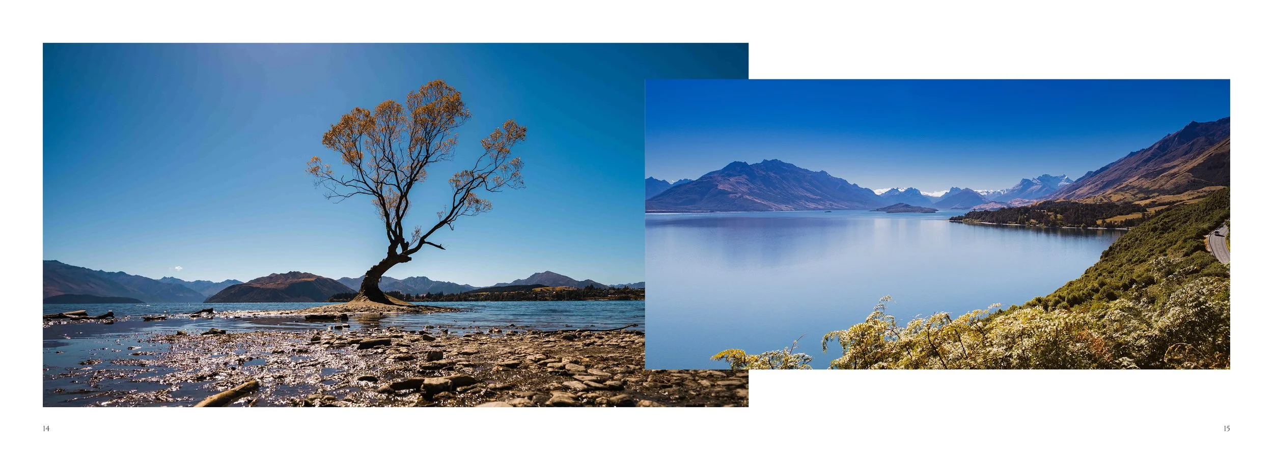NZB (Online Spread)8.jpg