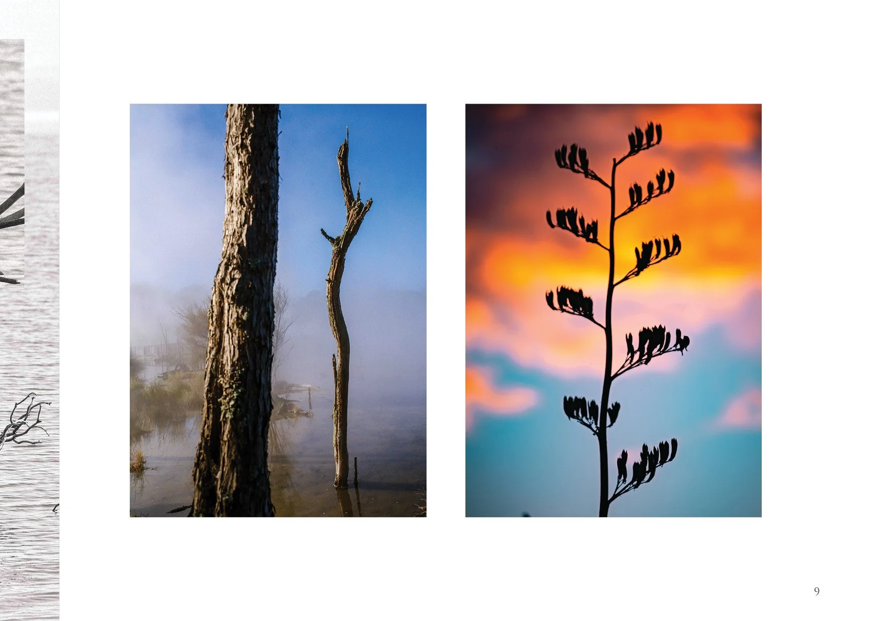NZB (Online Pages)9.jpg