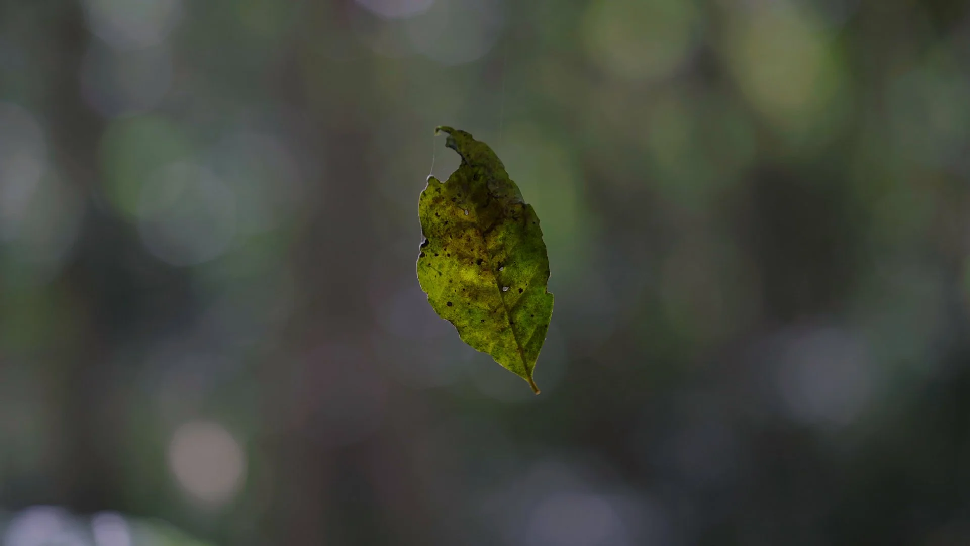 CRY25 - Full Version 2.00_39_20_05.Still049.jpg