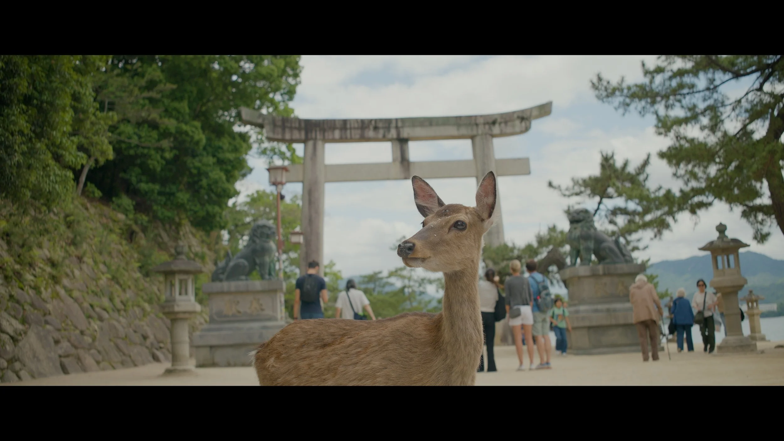 KYOTO 25fps .02_29_30_04.Still030.jpeg