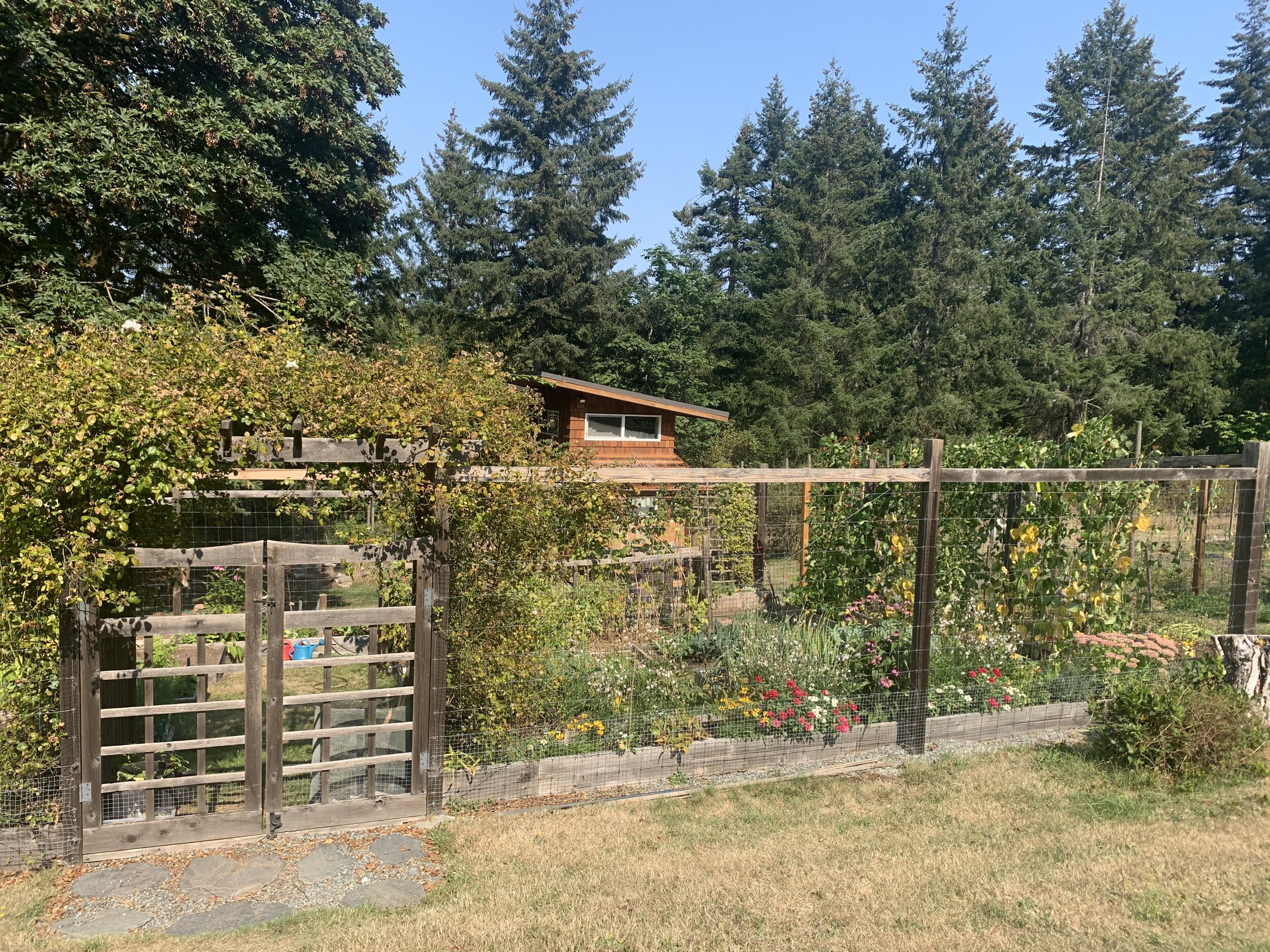 Garden.jpg
