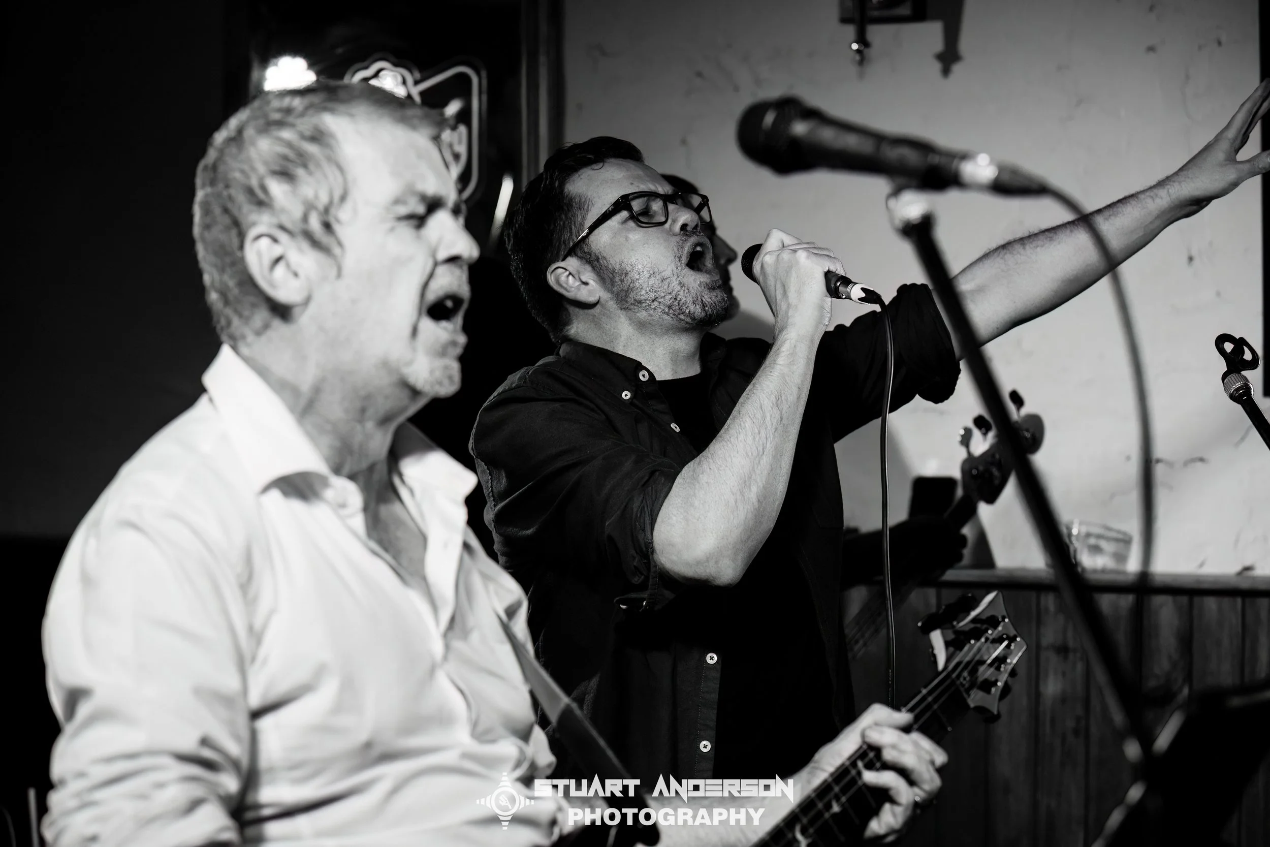 Mixed Nuts Play Siamese Dream (70 of 74)-Edit.jpg