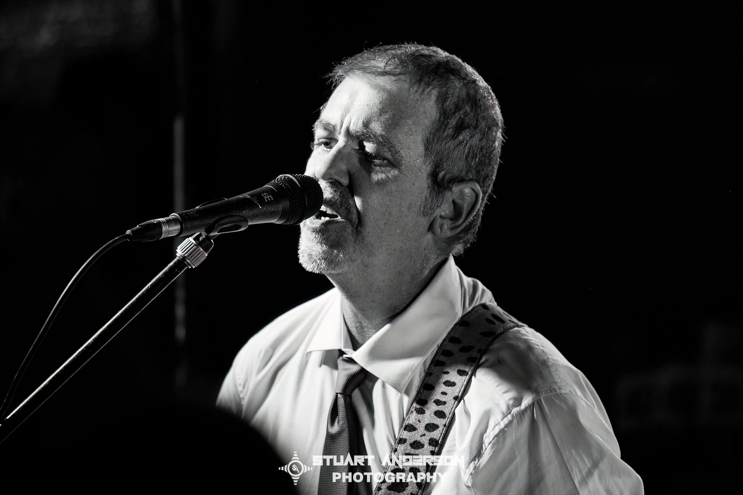 Mixed Nuts Play Siamese Dream (19 of 74)-Edit.jpg