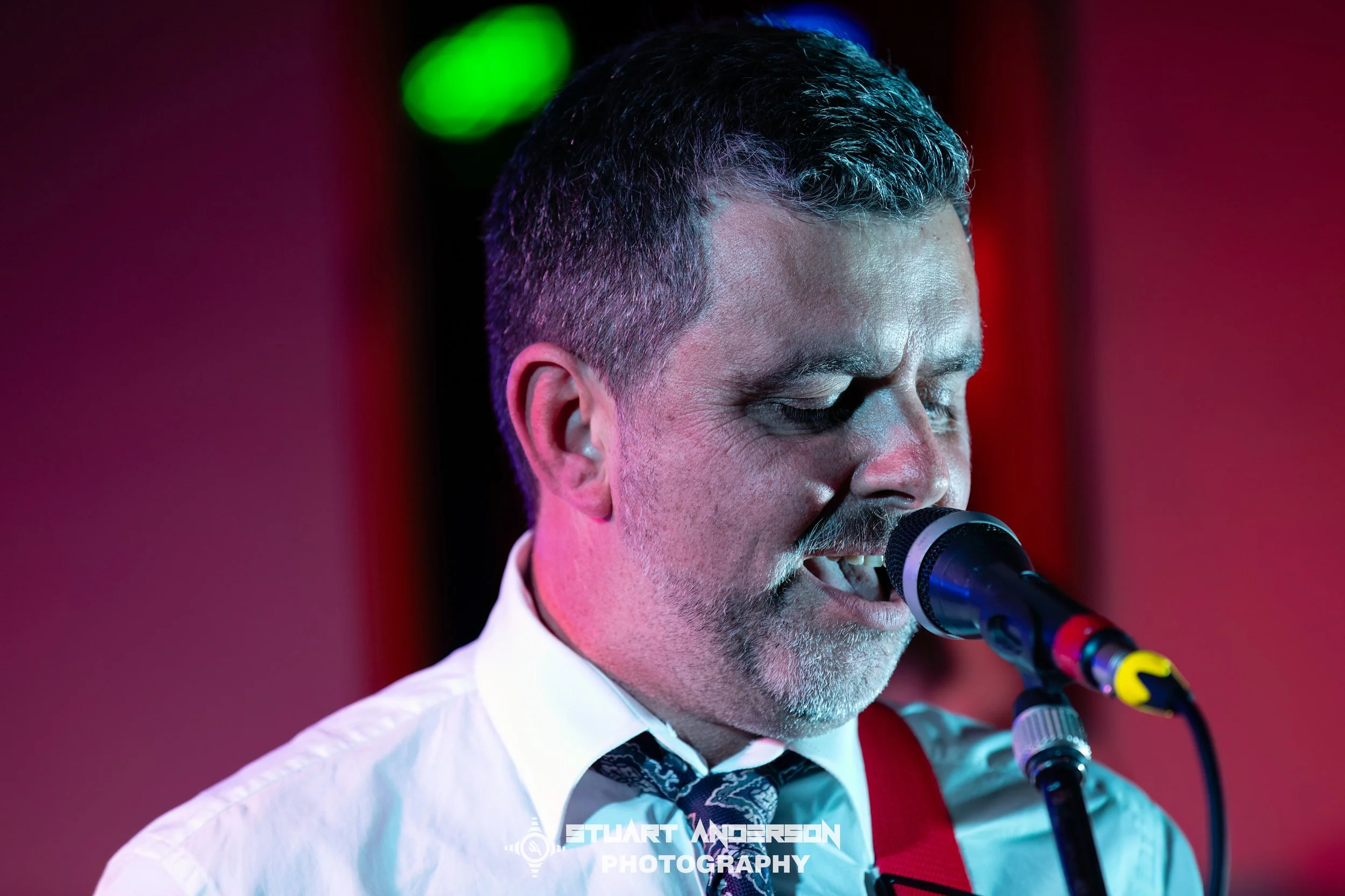 Mixed Nuts Play Siamese Dream (11 of 74)-Edit.jpg