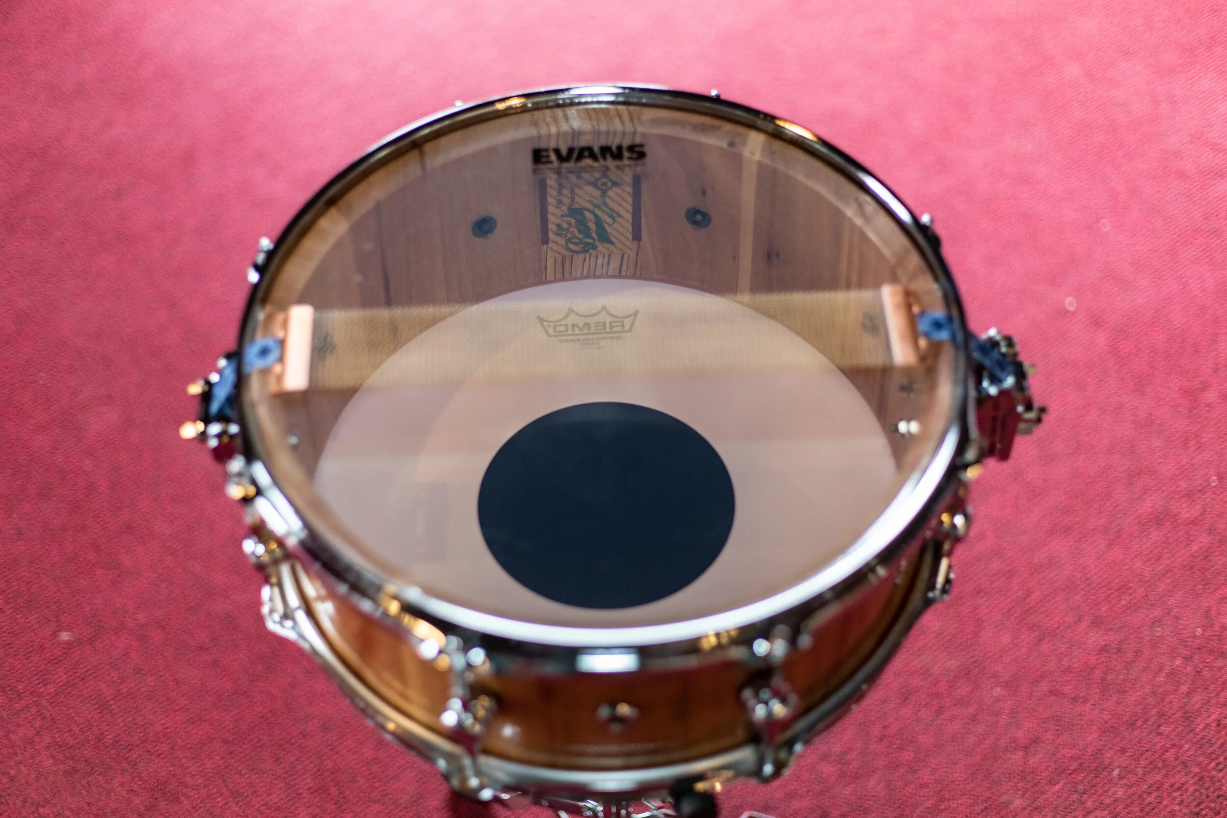 Bundy Snare 2 (12 of 12).jpg