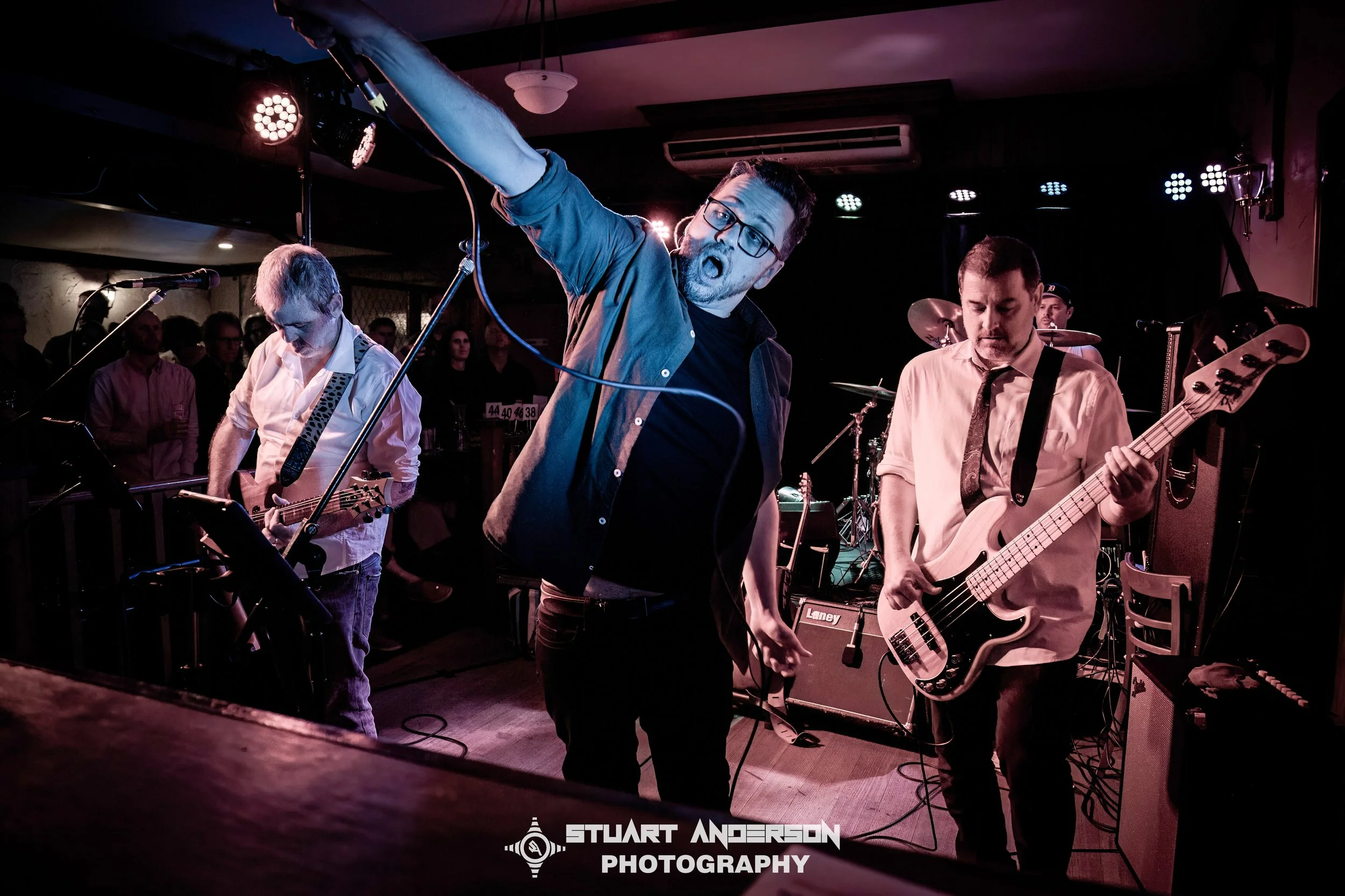 Mixed Nuts Play Siamese Dream (52 of 74)-Edit.jpg