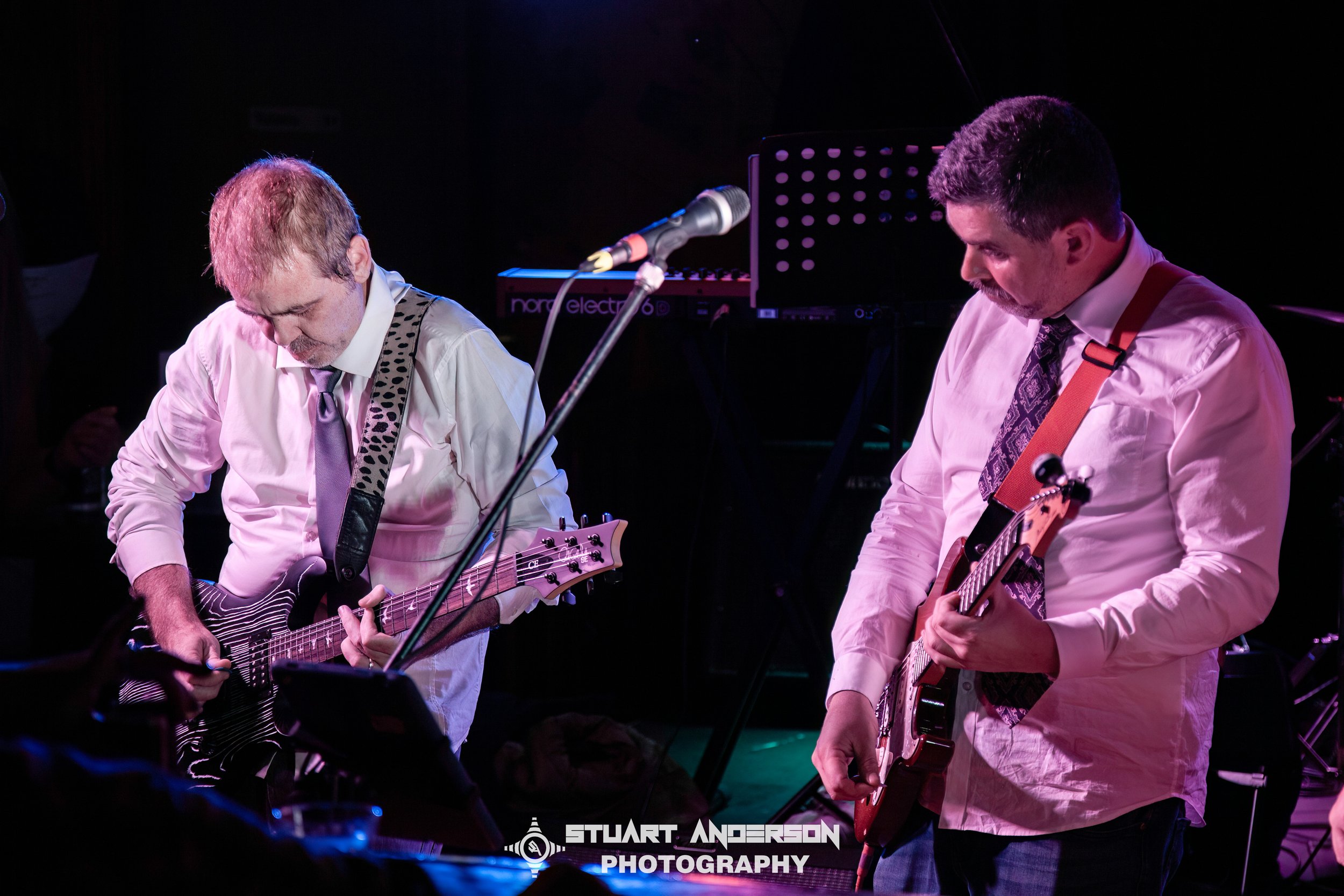 Mixed Nuts Play Siamese Dream (18 of 74)-Edit.jpg