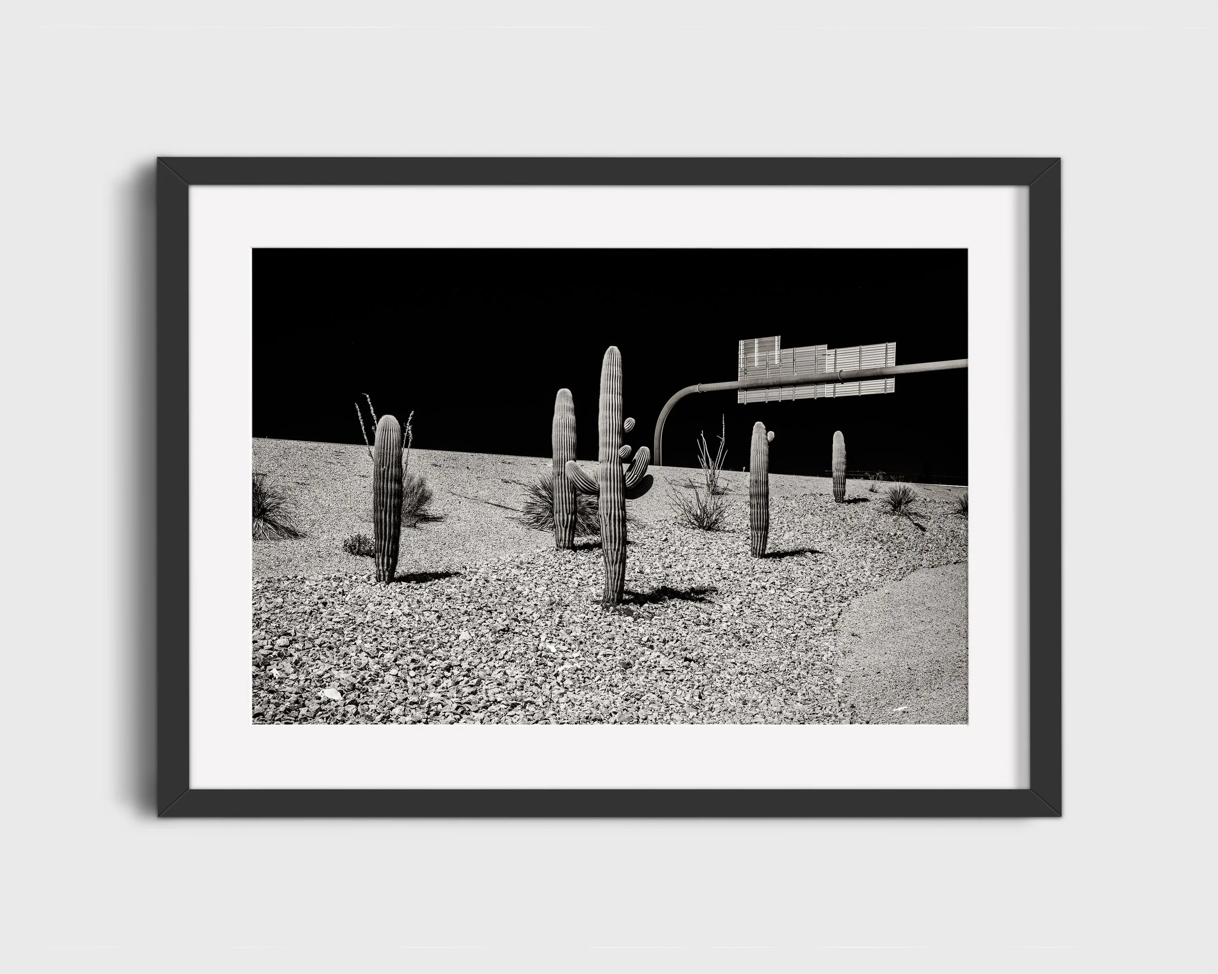 tucson.jpg