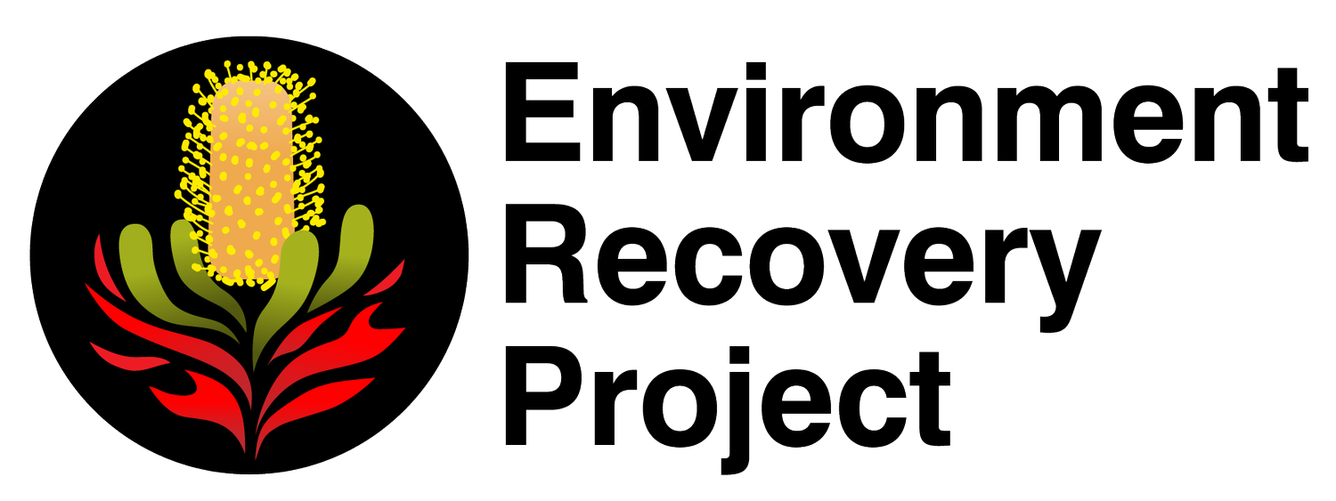 Environment Recovery Project