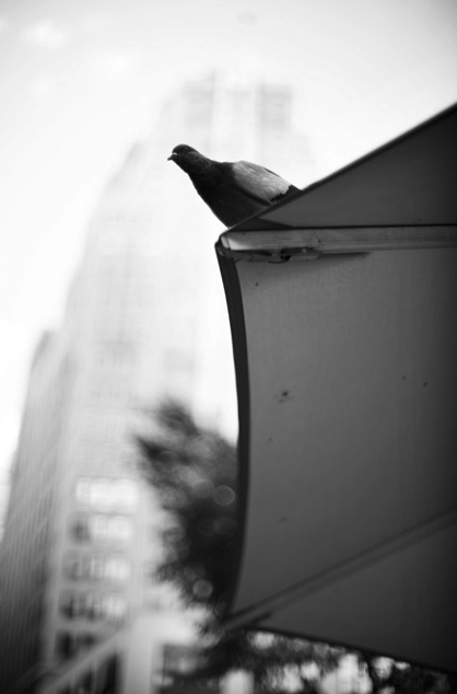 Screen Shot 2021-10-07 at 11.48.13 PM.png