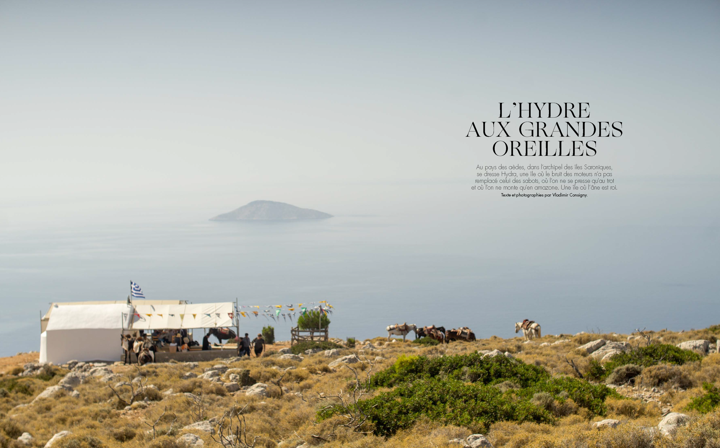 L'Hydre aux Grandes Oreilles
- Texte & Photographies