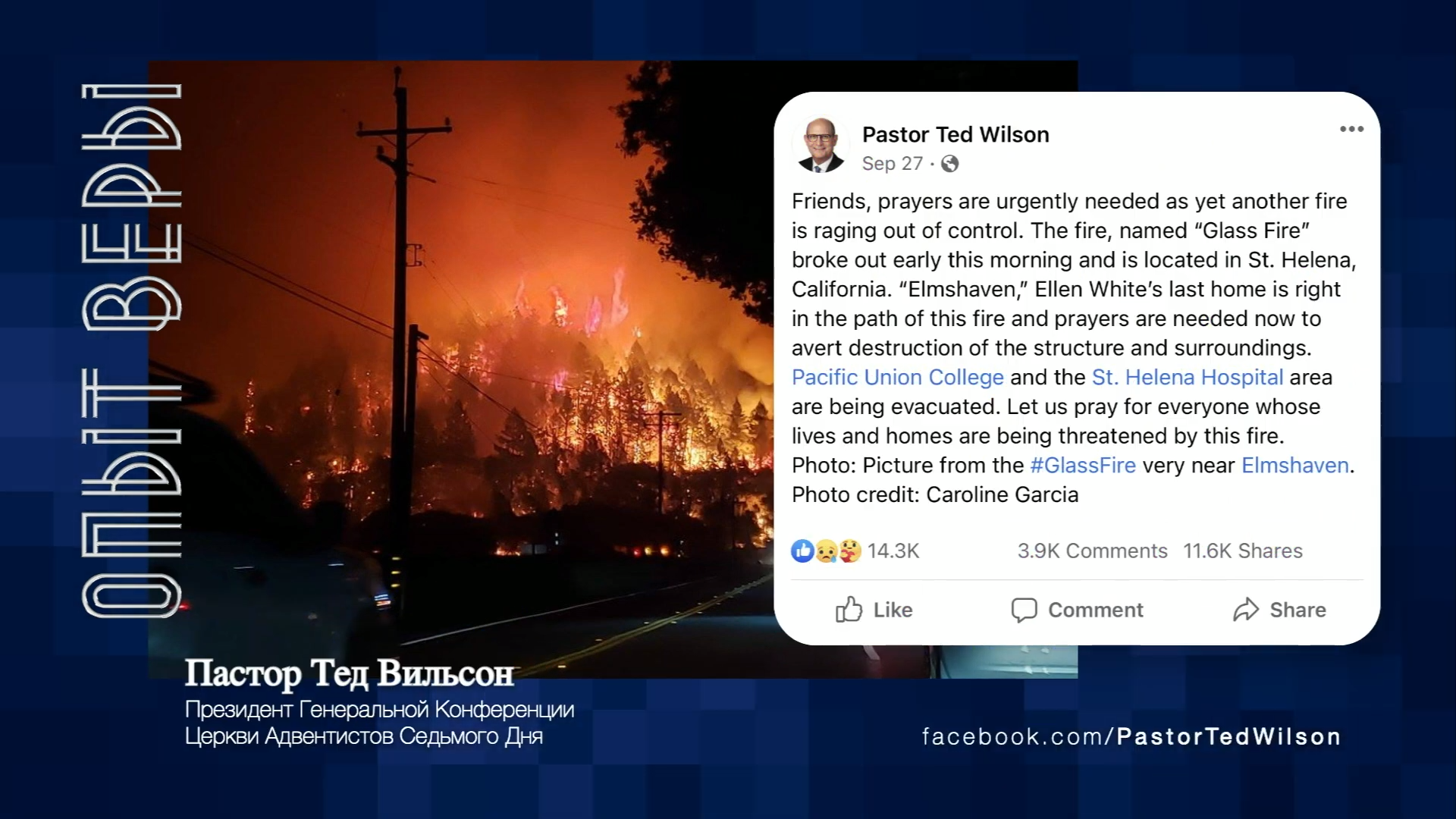 Social Media Post + Illustration