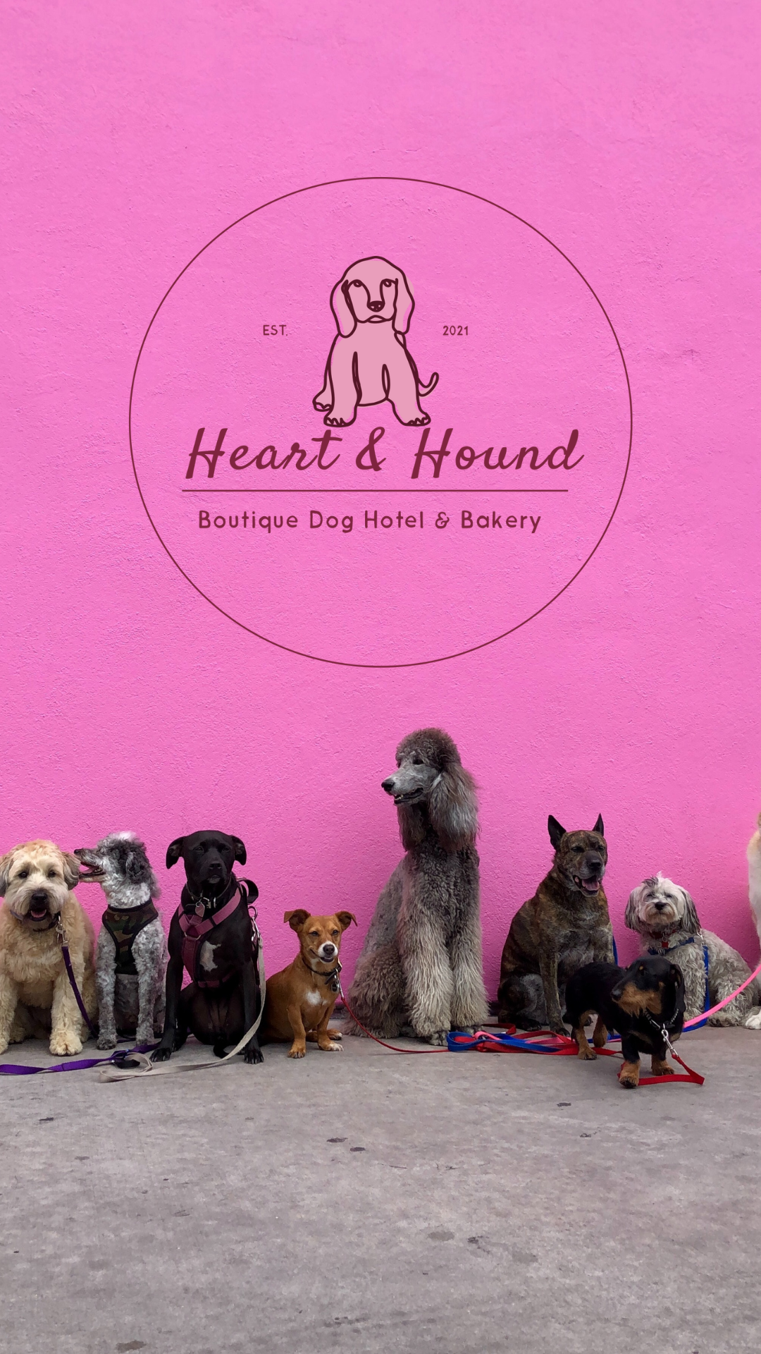Heart & Hound (branding)