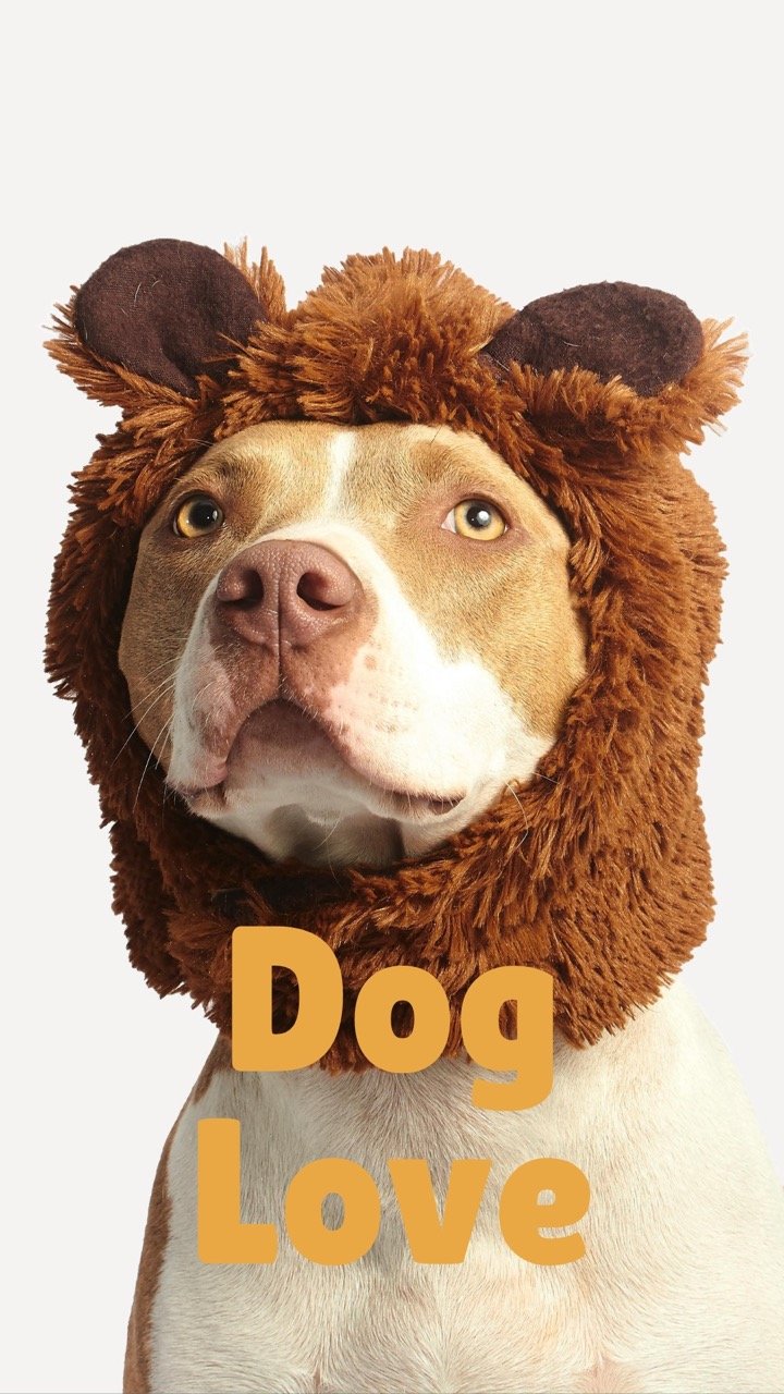 Dog Love (branding) (customwebsite)