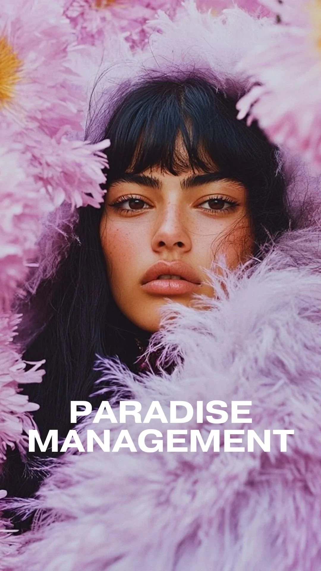 Paradise Management (ecommerce)
